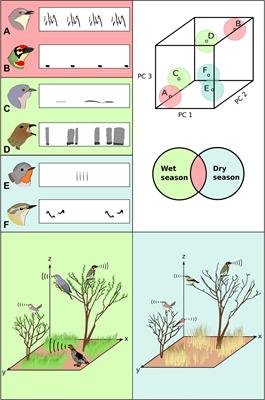 Community Bioacoustics: Studying Acoustic Community Structure for Ecological and Conservation Insights